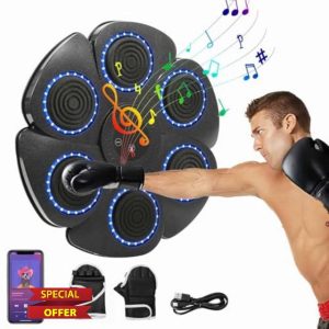 Eznaobo Music Boxing Machine