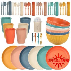 Osrioal 60 Pcs Plates and Bowls Set