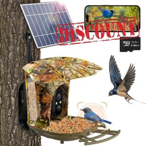 lollyes Smart Bird Feeder Camera