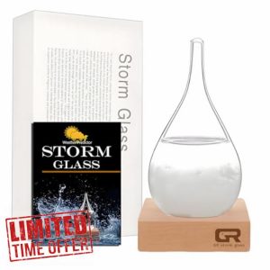 Storm Glass Weather Forecast Bottle - Snow Globes Barometer