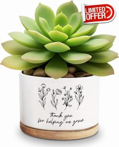 Life Would Succ Without You White Ceramic Succulent Planter Pots
