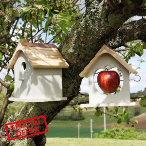 Bird box Bird Feeder set