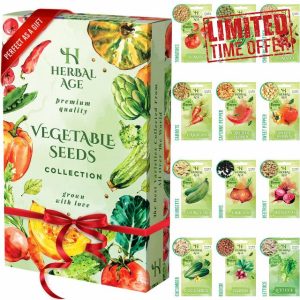 Perfect Christmas Garden Gifts - 12 Vegetable Seed Box for Garden - Grow Your Own Kits
