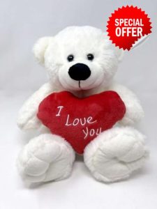 White Teddy Bear holding Red Heart with "I Love You" written on it | Gift Ideas for Girlfriend | Wife | Birthday | Valentine's Day | Christmas | Anniversary (White