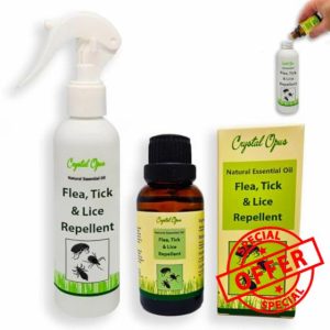 Makes 30+ Bottles of Flea