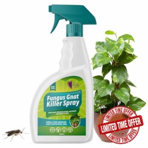Fungus Gnat Killer Spray 500ml | Organic Protection Against Sciarid Flies | Effective for Houseplants