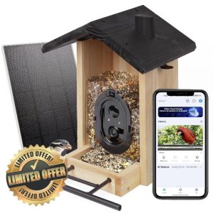 Origem Smart 3L Bird Feeder with Camera with Free AI Bird Detection Full Color Night Vision Solar Bird Feede