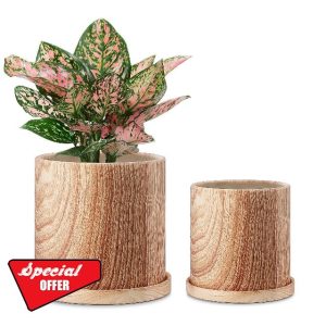 FairyLavie 18+15 CM Plant Pots Indoor