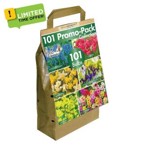 101 Dutch Bulbs | Big Buy Promo Pack | Bee-Friendly | Mixed Spring Flower Bulbs | Eco-Friendly Packaging | Easy Planting Guide Included