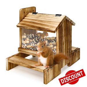 Wooden Squirrel Picnic Table Feeder