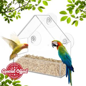 Window Bird Feeder with Extra 3 Strong Suction Cups