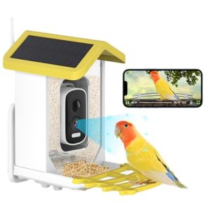 HD Camera Bird Feeder