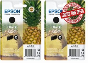 Epson 604 Pineapple