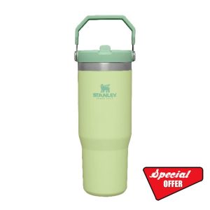 Stanley Iceflow Flip Straw Water Bottle With Straw 0.89L - Keeps Cold For 12+ Hours - Easy To Carry - Dishwasher Safe - Stainless Steel Thermal Flask - BPA-Free Travel Mug - Citro