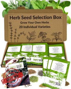 Herb Seed Selection Box - 20 Premium Quality Seed Varieties with High Germination Rate. Natural