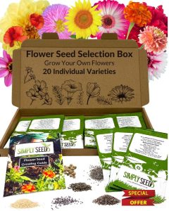 Flower Seed Selection Box - 20 Premium Seed Varieties with High Germination Rate. Natural