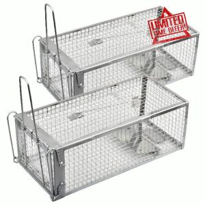 Anyhall 2-Pack Rat Traps Humane Live Mouse Cage Traps (Silver)