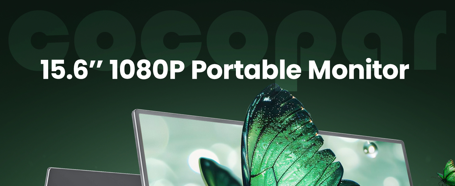 portable monitorr