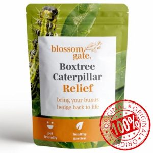 Box Tree Caterpillar Treatment