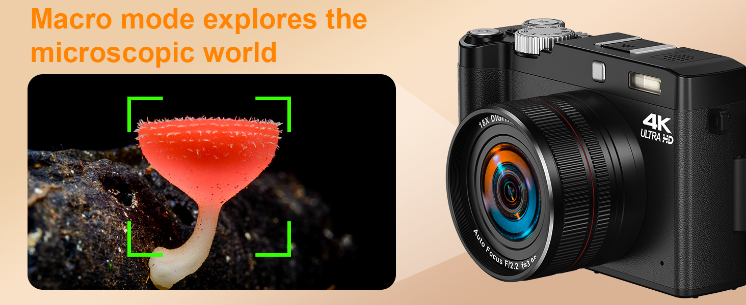 digital camera