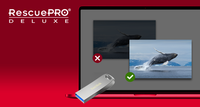 SanDisk Ultra Luxe USB 3.2