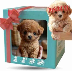 Robot Dog 2025 - Interactive Robotic Puppy Toy with Realistic Walking