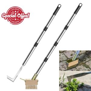 Crack Weeder Tool Set with 2 Weed Brush Heads