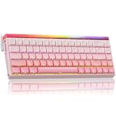 AULA HERO 68 Mechanical Gaming Keyboard,Hall Effect Magnetic Switch,0.01mm Adjustable Actuation R...