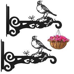 hanging plant bracket