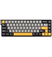 Mechanical keyboards with minimalist design showing different layouts. Features white and gray keycaps with one model highlighting a prominent blue spacebar key.