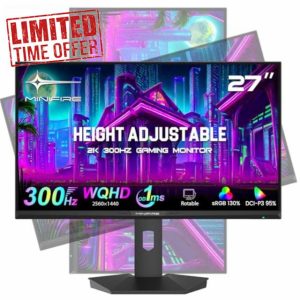 Minifire 27 Inch Gaming Monitor