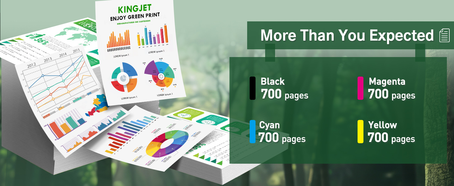 Text reads 'More than You Expected'. Marketing or presentation slides showing business graphics and charts on green background.