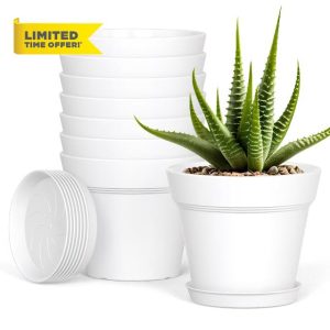 Plastic Plant Pots Indoor