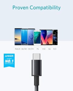 2-Pack 10 ft (3 m) USB to USB C Cable