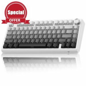 TECURS Mechanical Gaming Keyboard | Hot-Swappable Wireless RGB Keyboard Sideprinted |2.4Ghz/Type-C/BT5.0 | Gasket Mount Custom Keyboard for PC/Mac/PS5/PS4