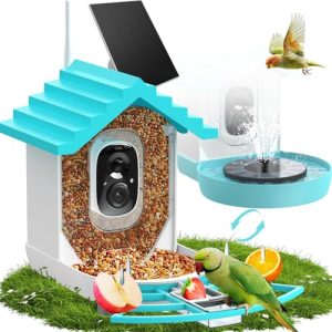 Window Bird Feeder with Fountain