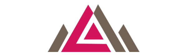 the logo of the new triangle