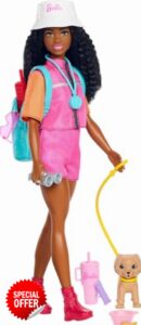 Barbie “Brooklyn” Outdoor Adventures Fashion Doll Wearing Adventure Outfit