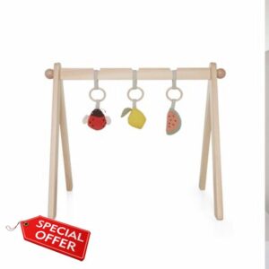 Mamas & Papas Baby/Todder Activity Toy - BabyPlay Wooden Play Arch