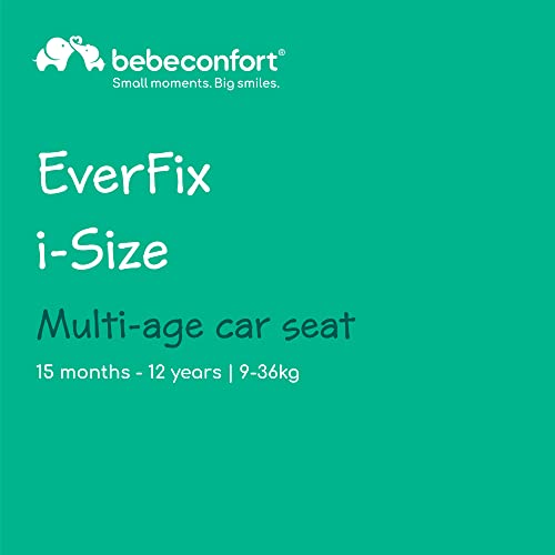 Forward Facing Car Seat