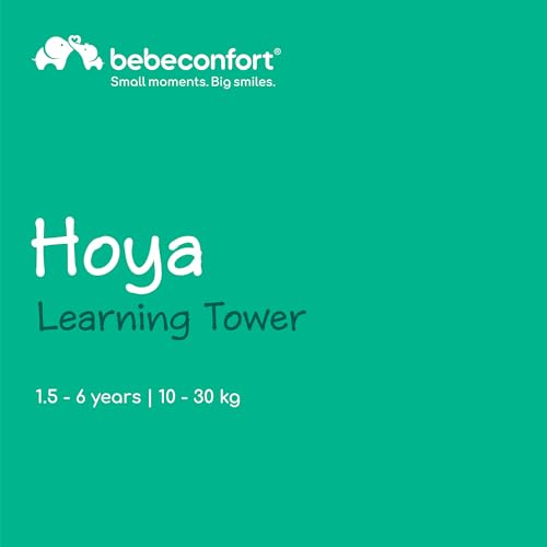 Baby and Toddler Learning Tower