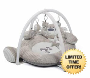 Babyzee Bear Necessities Play Gym with detachable hanging toys