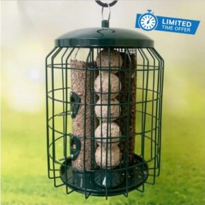 3-in-1 Squirrel Proof Bird Feeder – Seed