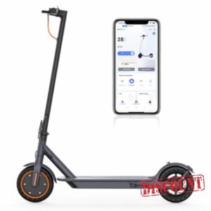 Riceel Electric Scooter