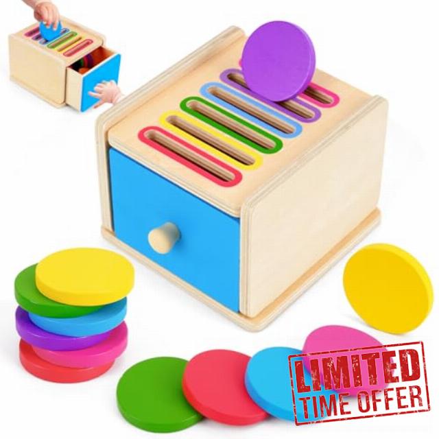 FCSONU Toddlers Montessori Coin Box Toys for 1 2 3 Year Old Boys Girls