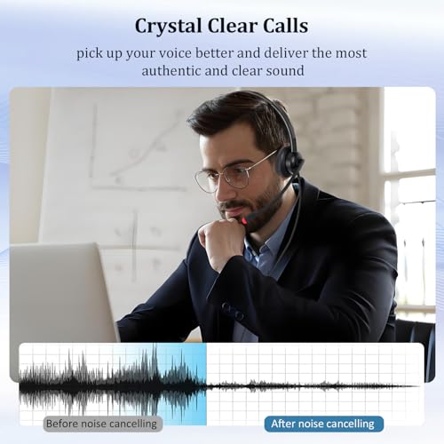 Type C Headset with Microphone Noise Cancelling