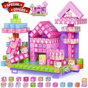 Magnetic Building Blocks
