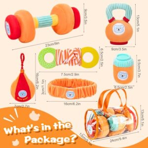 Dumbbell & Rattle Plush Toy Set