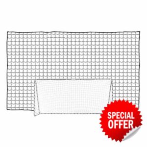 Ball Stop Net