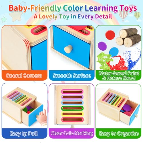 Color Sorting Stacking Sensory Toys for Ages 2-4